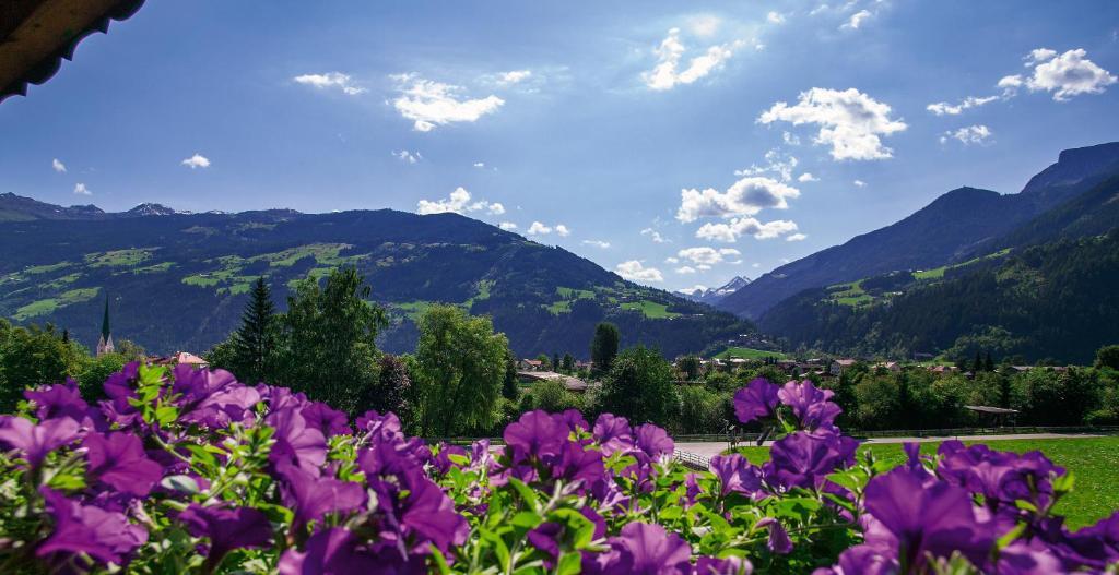 Villa Haidacher Relax & Lifestyle Apartments Zell am Ziller Szoba fotó